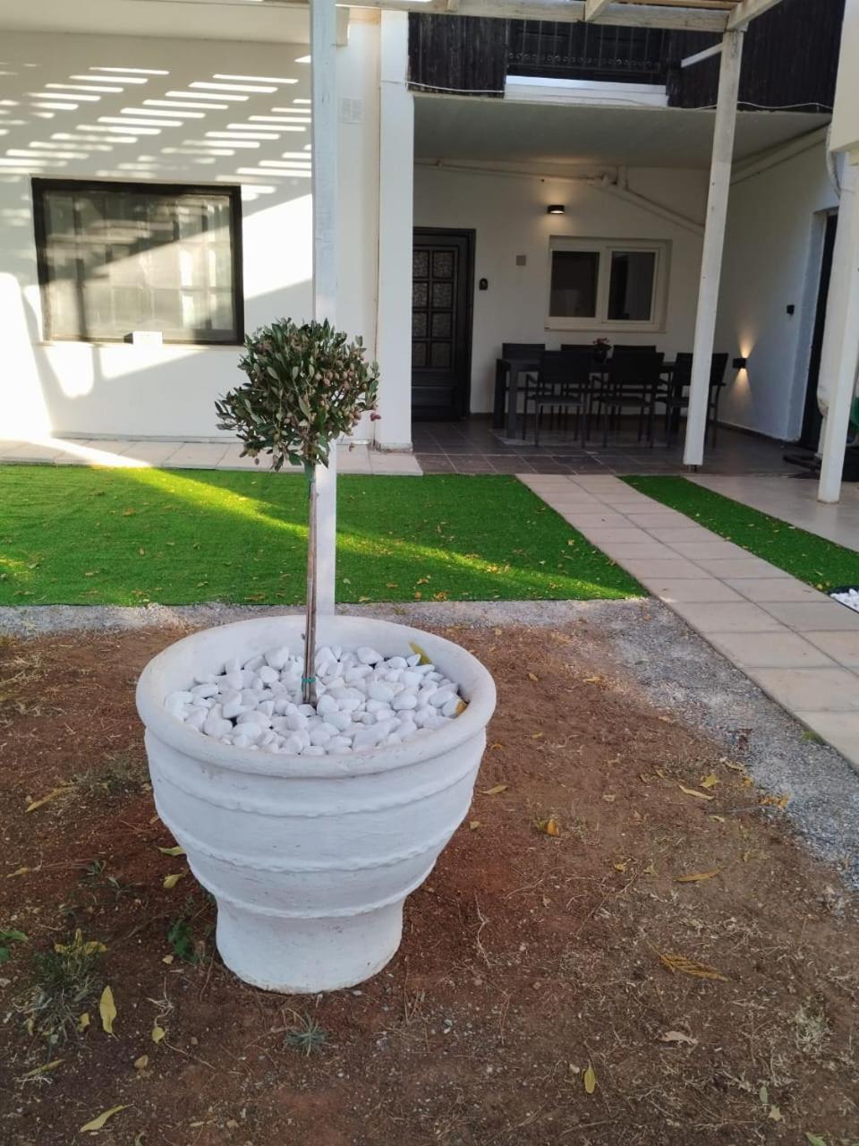 Black N' White Cozy Housegarden Alejandrópolis Exterior foto